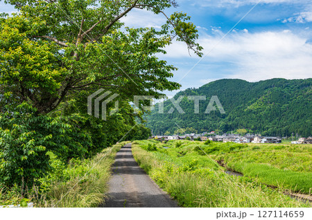 余呉川の堤防上の道路　滋賀県長浜市木之本町 127114659