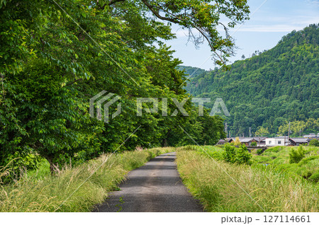 余呉川の堤防上の道路　滋賀県長浜市木之本町 127114661