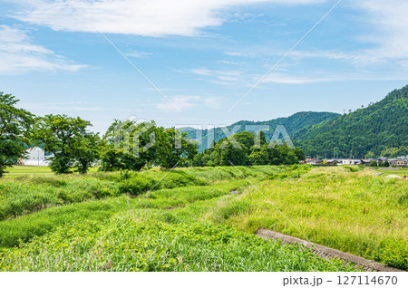 木之本町の田園地帯を流れる川 余呉川 滋賀県長浜市 木之本町の田園地帯を流れる川 余呉川 滋賀県長浜市 127114670