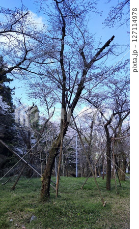 霞間ヶ渓の自然は、あなたの心を包み込む 127114978