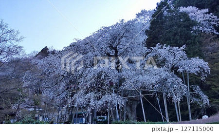 霞間ヶ渓の自然は、あなたの心を包み込む 127115000