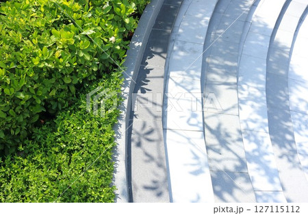 Cement stairs on hill in summer , the park in Thailand Cement stairs on hill in summer , the park in Thailand 127115112