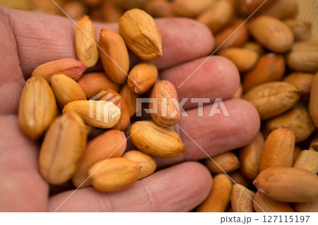 たくさんのピーナッツ 127115197