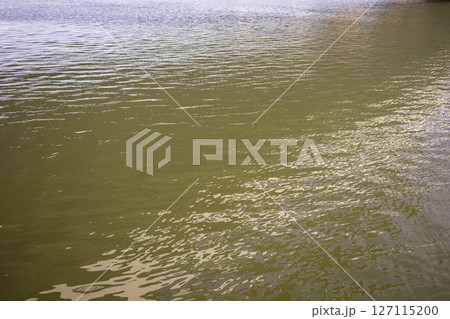 穏やかな冬の川面 127115200