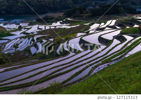 《佐賀県》大浦の棚田・伊万里湾をのぞむ田園風景 127115313