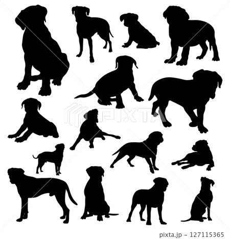 Boxer dog silhouettes,Boxer dog animal silhouette collection. Boxer dog silhouettes,Boxer dog animal silhouette collection. 127115365