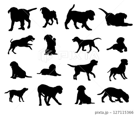 Labrador retriever silhouettes, Labrador retriever animal silhouette collection. Labrador retriever silhouettes, Labrador retriever animal silhouette collection. 127115366
