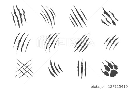 Claw scratches svg, Claw svg, Tiger claw svg, Claw scratches silhouette, Claw mark silhouette, Claw silhouette, Tiger, Cat, Beer claw silhouette, Claw marks svg. 127115419