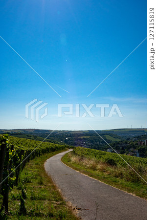 葡萄畑　モーゼル、ドイツ 127115819