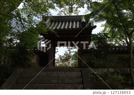 大阪府茨木市の神峯山大門寺境内の風景 127116053