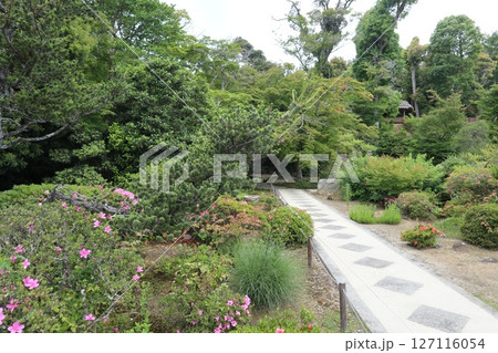 大阪府茨木市の神峯山大門寺境内の風景 127116054