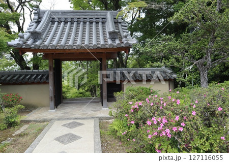 大阪府茨木市の神峯山大門寺境内の風景 127116055