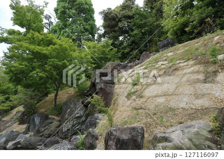 大阪府茨木市の神峯山大門寺境内の風景 127116097