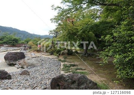 大阪府茨木市の神峯山大門寺境内の風景 127116098