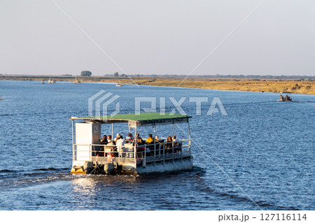 Boat Cruise on the Chobe river 127116114