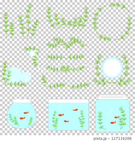 A set of simple line drawings of yellow-green waterweed, Matsumo A set of simple line drawings of yellow-green waterweed, Matsumo 127116206