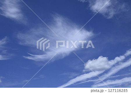 夏の青空と白い雲 127116285