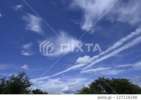 夏の青空と白い雲 127116286
