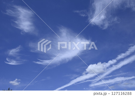 夏の青空と白い雲 127116288