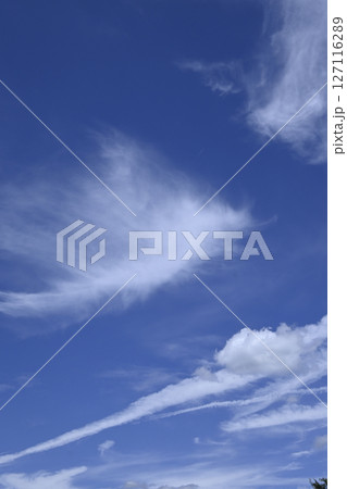 夏の青空と白い雲 127116289