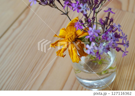 枯れてしまった花瓶の黄色い花 枯れてしまった花瓶の黄色い花 127116362