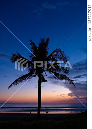 バリ島クタビーチの夕暮れと椰子の木 バリ島クタビーチの夕暮れと椰子の木 127117013