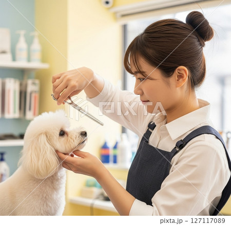トリミングされている犬 127117089
