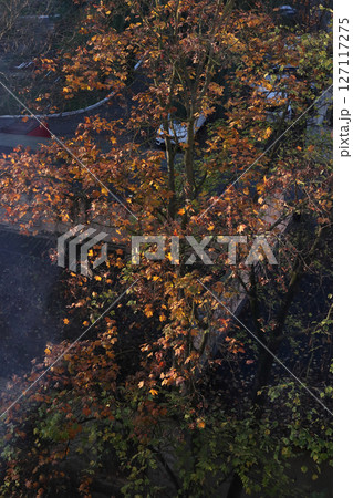 Autumn season in the city. 127117275