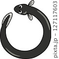 円を描いているうなぎ 127117603