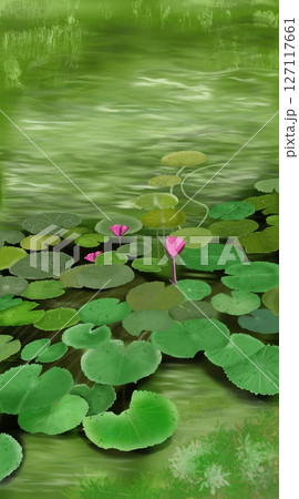 Lotus pond drawing watercolor 127117661