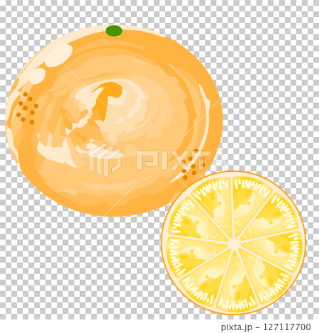 簡單的橘色圖示水彩風格 127117700