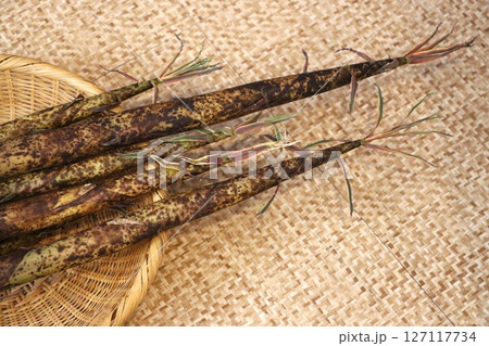 細長いたけのこ破竹 127117734
