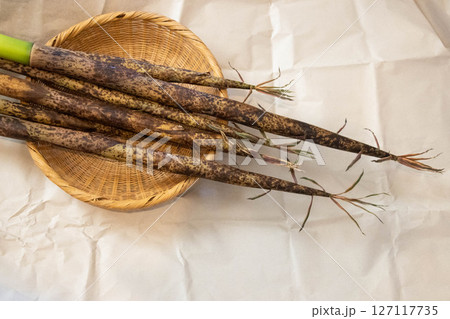 細長いタケノコ破竹 細長いタケノコ破竹 127117735