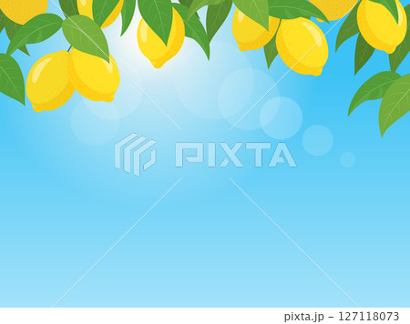 レモンと空の爽やかな背景_ベクターイラスト 127118073