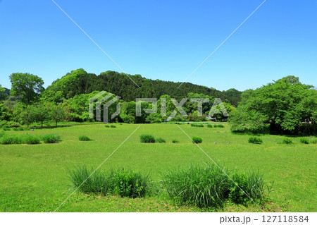 新緑の国営飛鳥歴史公園石舞台地区　芝生広場 127118584