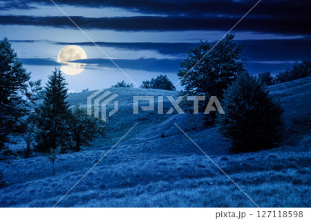 beech forest on the grassy hill at night. alpine scenery with trees in lush leaves. primeval woods in full moon light. dark clouds on the sky beech forest on the grassy hill at night. alpine scenery with trees in lush leaves. primeval woods in full moon light. dark clouds on the sky 127118598