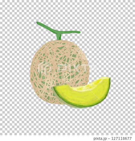 油畫風格的整個甜瓜和切開的甜瓜插圖 127118677
