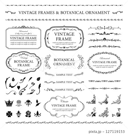黒のビンテージフレームとボタニカルなオーナメントのセット 黒のビンテージフレームとボタニカルなオーナメントのセット 127119153