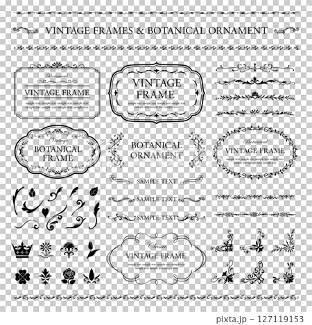 Set of black vintage frames and botanical ornaments Set of black vintage frames and botanical ornaments 127119153