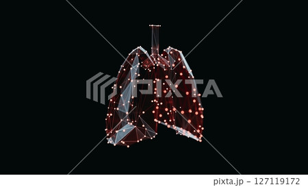 3d render of a vibrant, low-poly lungs over dark background 3d render of a vibrant, low-poly lungs over dark background 127119172
