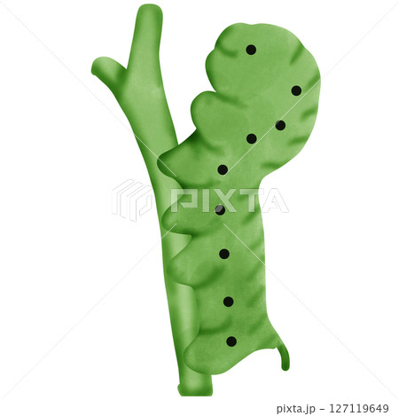worm 127119649