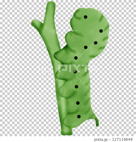 worm 127119649