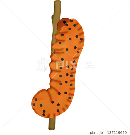 worm 127119650