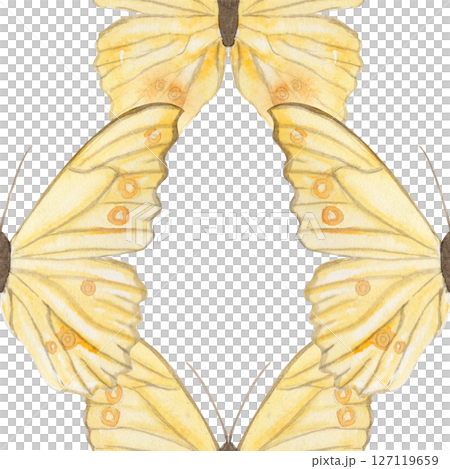 Yellow butterflies, delicate watercolor seamless pattern isolated on white. Ideal for textile design, wrapping paper, branding, eco packaging, stationery, wedding decor, digital projects. Hand painted Yellow butterflies, delicate watercolor seamless pattern isolated on white. Ideal for textile design, wrapping paper, branding, eco packaging, stationery, wedding decor, digital projects. Hand painted 127119659