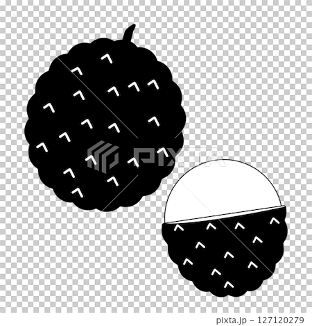 ライチのシンプルアイコン　モノクロ 127120279