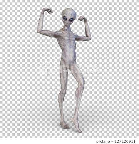 外星人 外星人 127120911