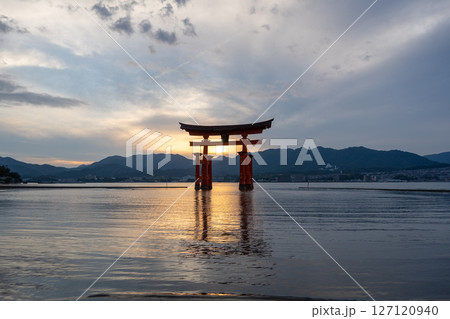 Famous red torii gate of Itsukushima shrine at sunset in Miyajima, Japan Famous red torii gate of Itsukushima shrine at sunset in Miyajima, Japan 127120940