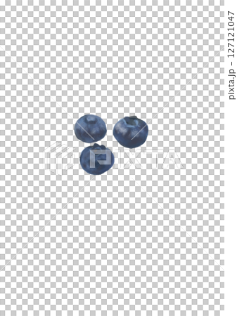 ブルーベリーを油絵風に描いたイラスト4 127121047