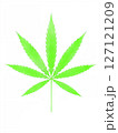 水彩風大麻草の葉 127121209