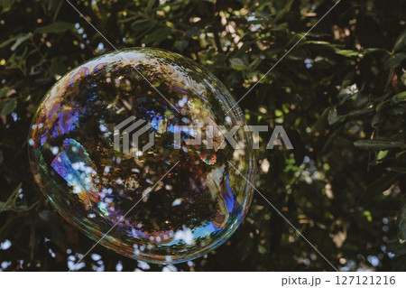 Giant Soap Bubble Reflecting Nature Surrounded by Leaves 127121216